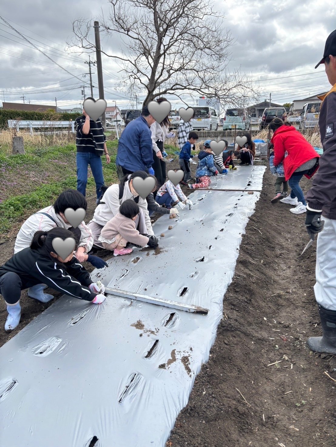 ２月の子ども食堂でジャガイモを植えました